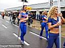 lmes2005_silverstone_3s_gridgirls_13.jpg
