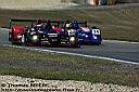 lms06_nuerburgring_race_168.jpg
