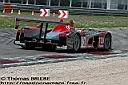 lms08_01.monza_fp1_rettifilo2_17.jpg