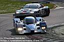 lms08_01.monza_race_3rettifilo_66.jpg